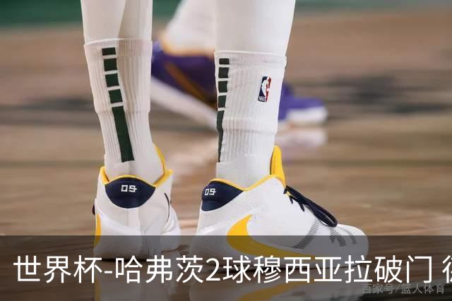 世界杯-哈弗茨2球穆西亚拉破门 德国全面开花7-1库拉索